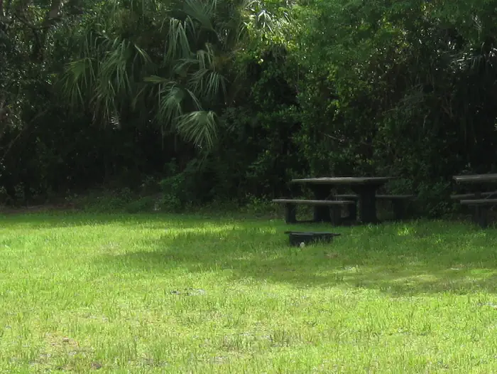 Pinecrest Group Campground — Campsite at Pinecrest Campground