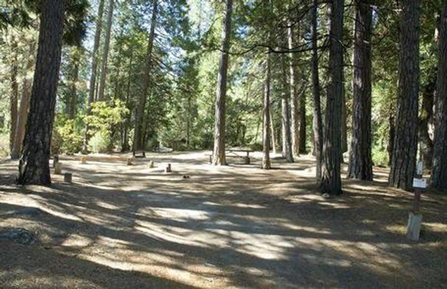Wishon Bass Lake — WISHON BASS LAKE