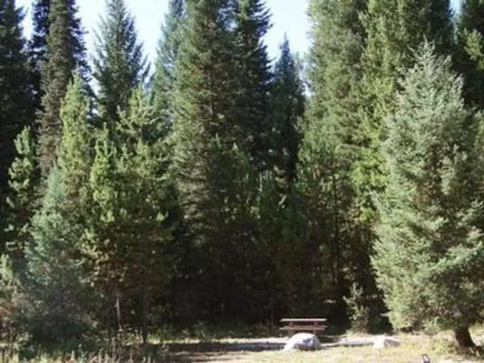Peace Valley Campground — PEACE VALLEY CAMPGROUND-Campsites