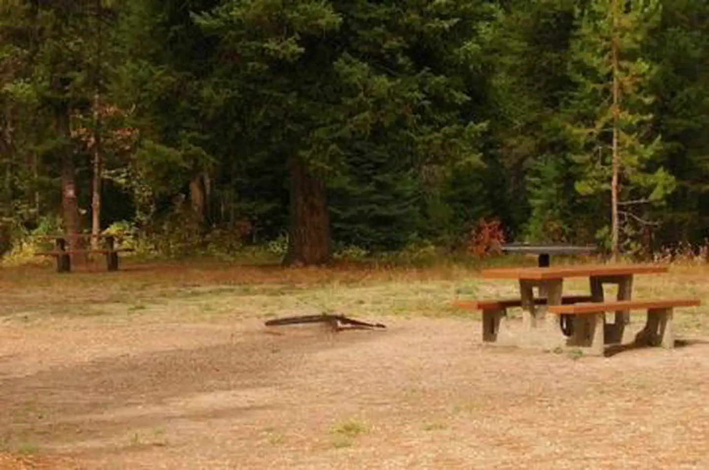 Peace Valley Campground — PEACE VALLEY CAMPGROUND: campsites