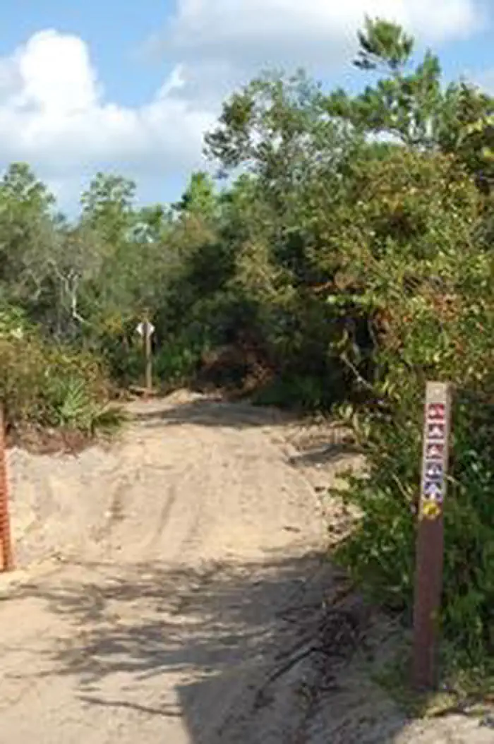 Ocala/Big Scrub — Big Scrub OHV Trailhead 2
