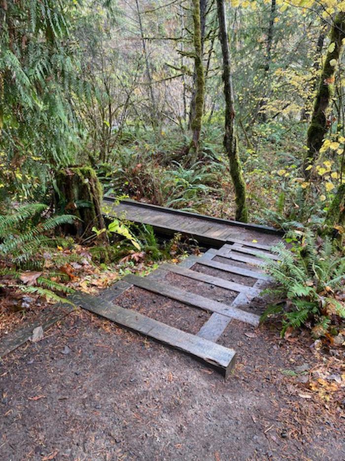 Three Bears Campground — River Access #2