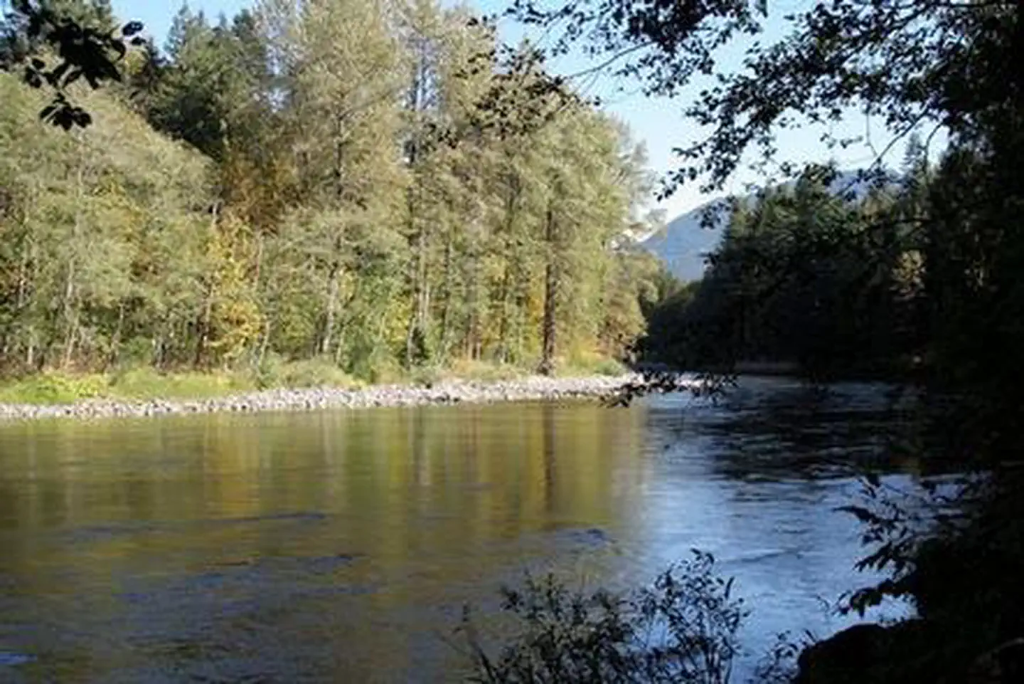 Money Creek Campground — Money Creek Campground