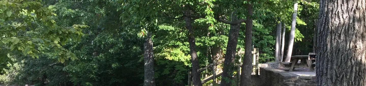 Chilhowee Recreation Area
