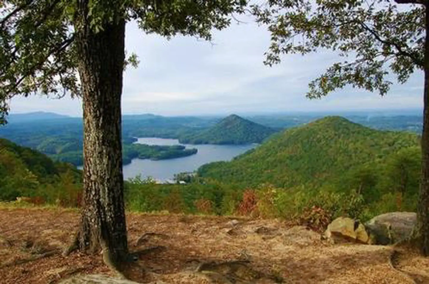 Chilhowee Recreation Area — Sugarloaf Overlook