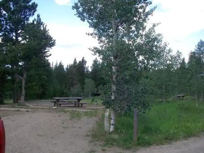 Cold Springs - Arapaho Roosevelt Nf (co) — Campsite at Cold Springs