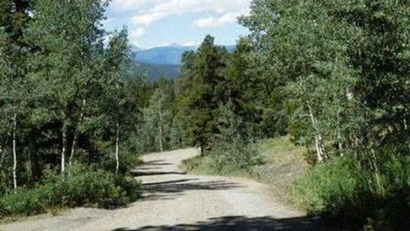 Cold Springs - Arapaho Roosevelt Nf (co)