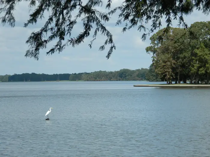 Merrisach Lake — Merrisach Lake