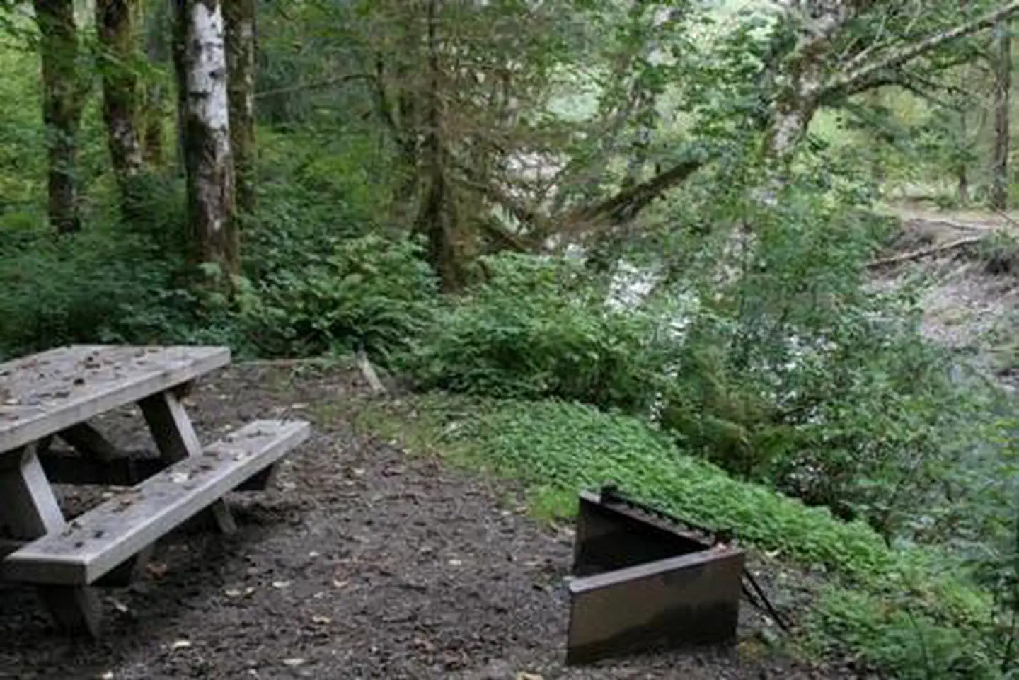 Boardman Group Camp — Boardman Group Camp