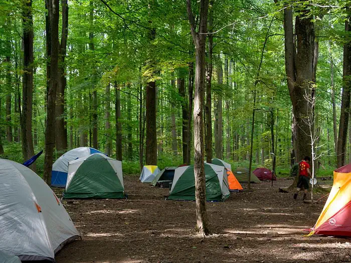Poplar Grove Youth Group Campground — Multiple tents surrounded by deciduous trees