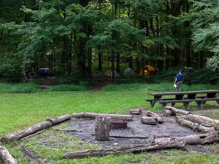 Poplar Grove Youth Group Campground — Metal fire ring/grill surrounded by logs and picnic tables in open field. Multiple tents visible in the distant woods.