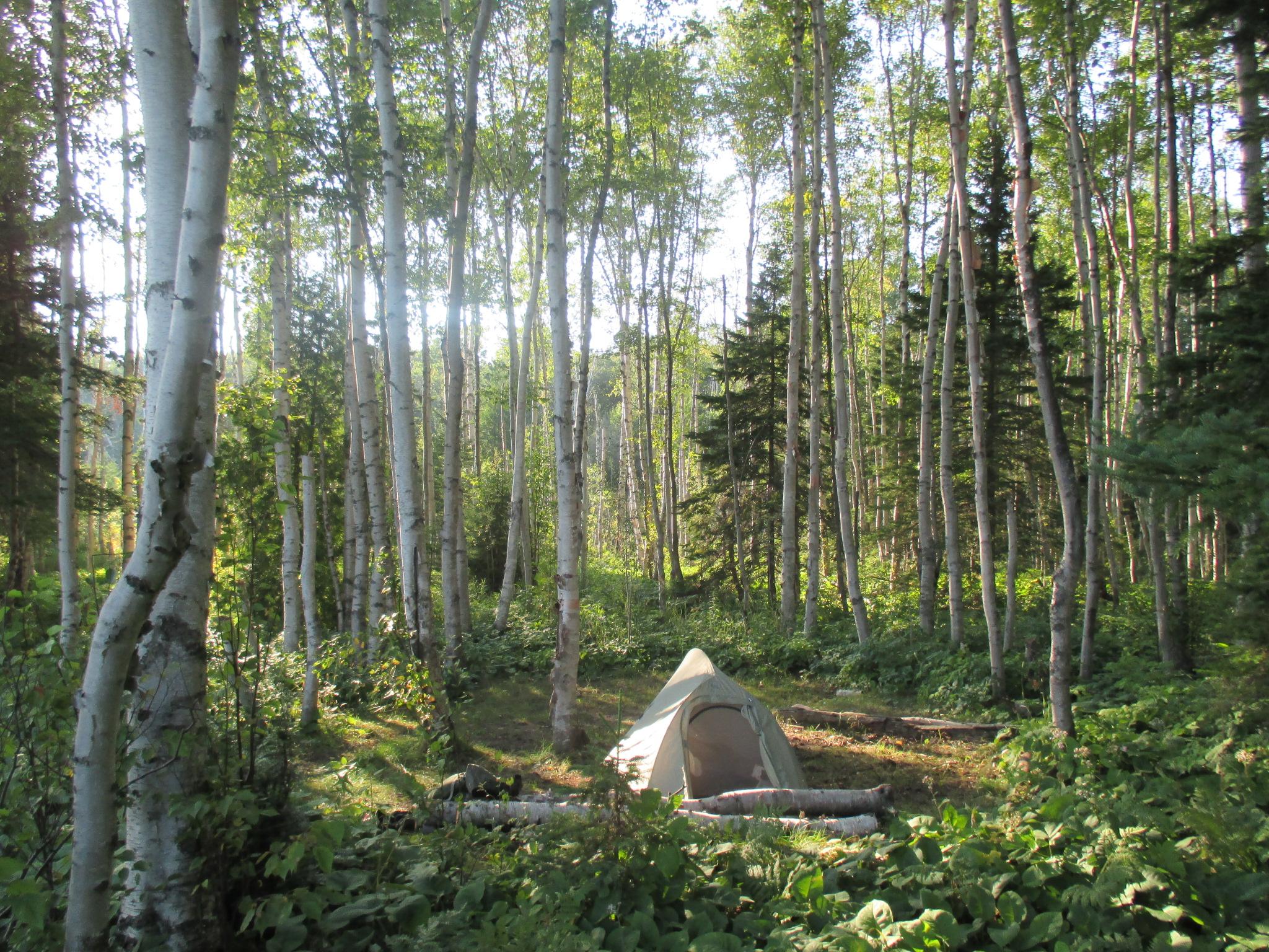 Lake Whittlesey Campground — Lake Whittlesey Tent Site