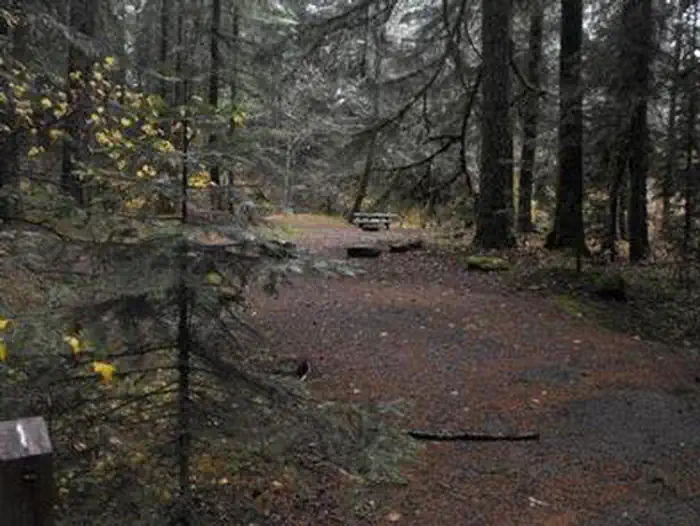 Frissell Crossing Campground — FRISSELL CROSSING CAMPGROUND