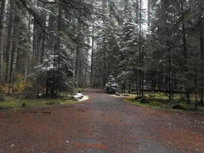 Frissell Crossing Campground — FRISSELL CROSSING CAMPGROUND