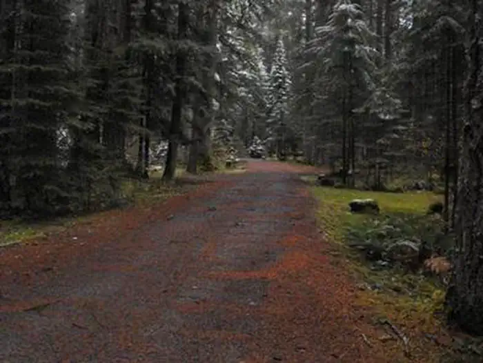 Frissell Crossing Campground — FRISSELL CROSSING CAMPGROUND