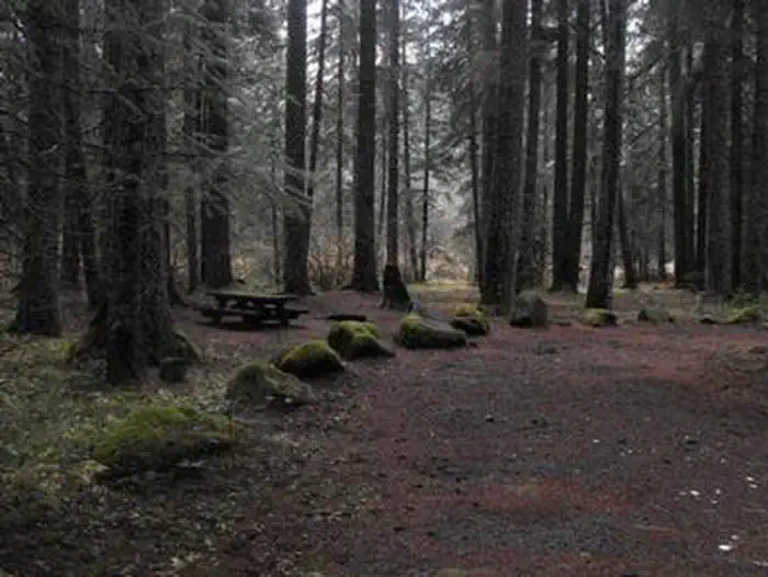 Frissell Crossing Campground — FRISSELL CROSSING CAMPGROUND