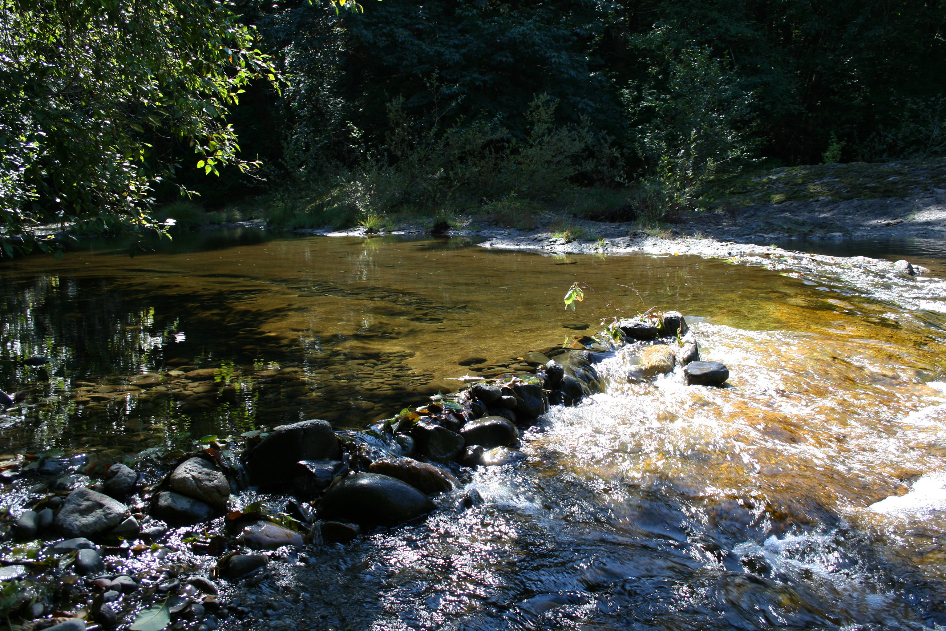 Millpond Recreation Site — Rock Creek, Oregon