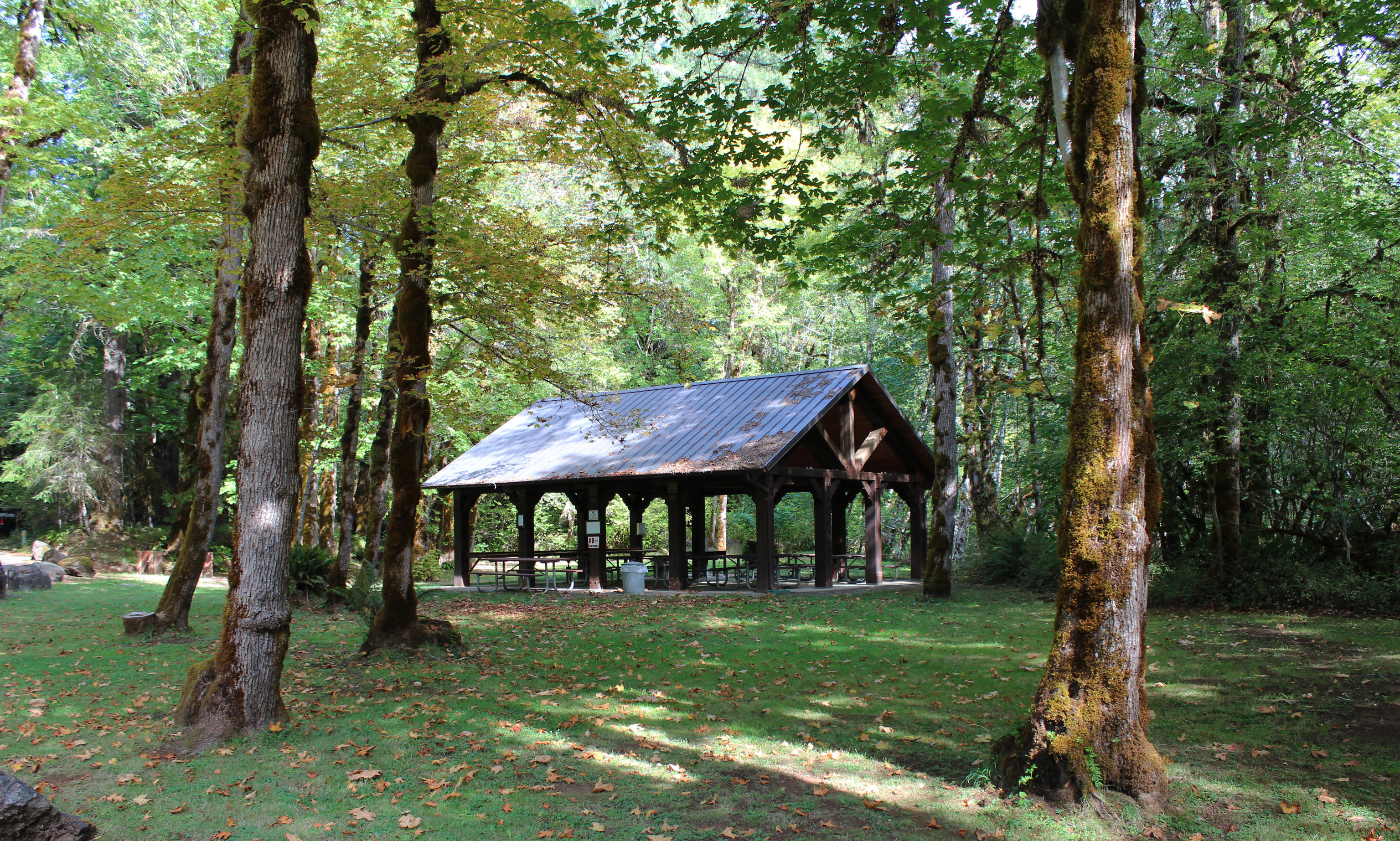 Millpond Recreation Site