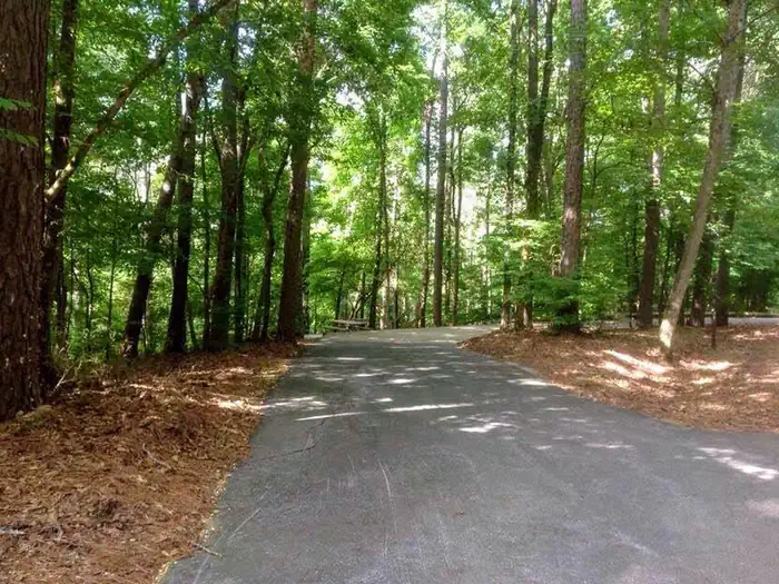 Deerlick Creek — Deerlick Creek Campground