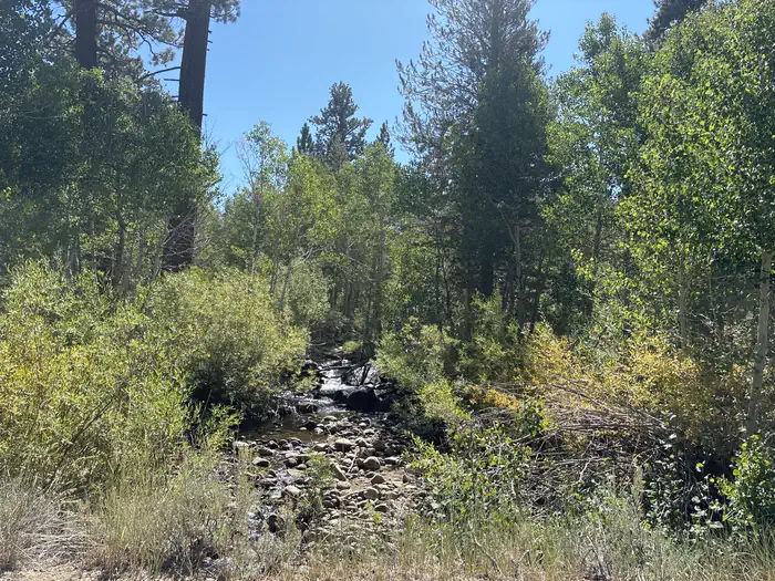 Obsidian Campground β A photo of facility Obsidian with No Amenities Shown