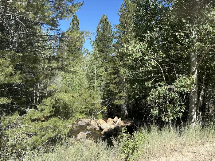 Obsidian Campground β A photo of facility Obsidian with No Amenities Shown