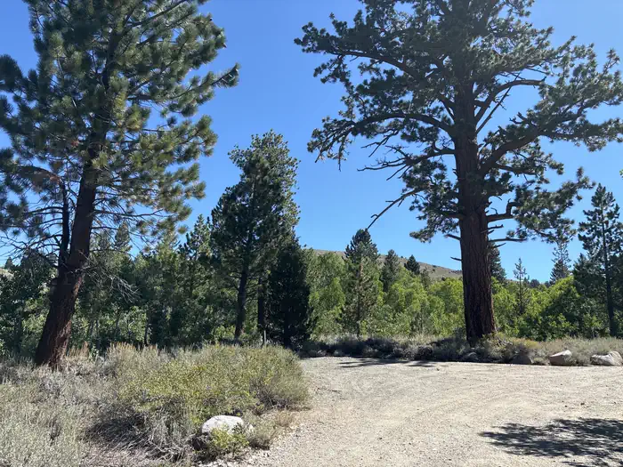Obsidian Campground β A photo of facility Obsidian with No Amenities Shown