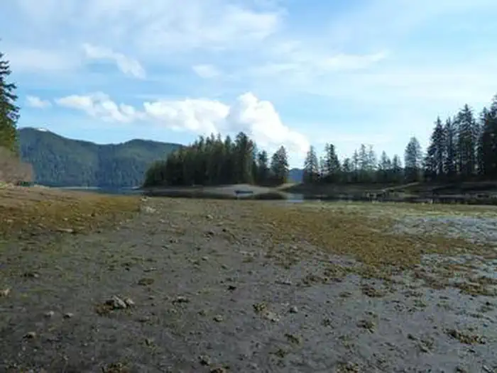 Pybus Bay Cabin — PYBUS BAY CABIN viewshed