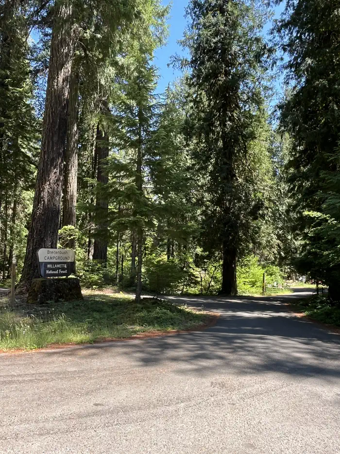 Breitenbush Campground — BREITENBUSH CAMPGROUND