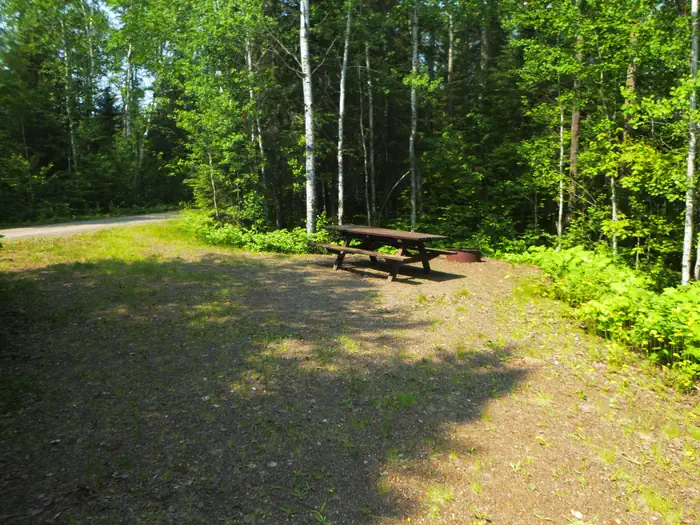 Bearskin Lodge —