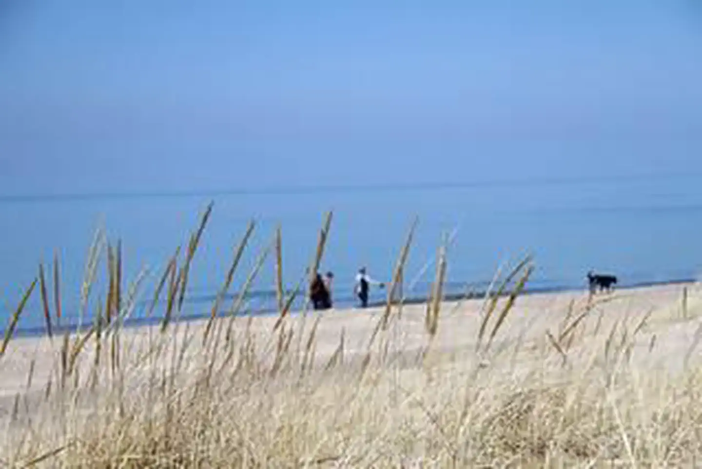 Dunewood Campground — Dunbar Beach in Indiana Dunes National Lakeshore.