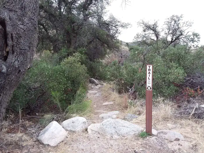 Molino Basin Campground — Arizona Trail