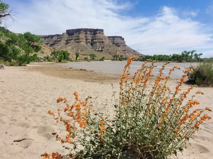 Swasey's Beach — Swaseys Beach