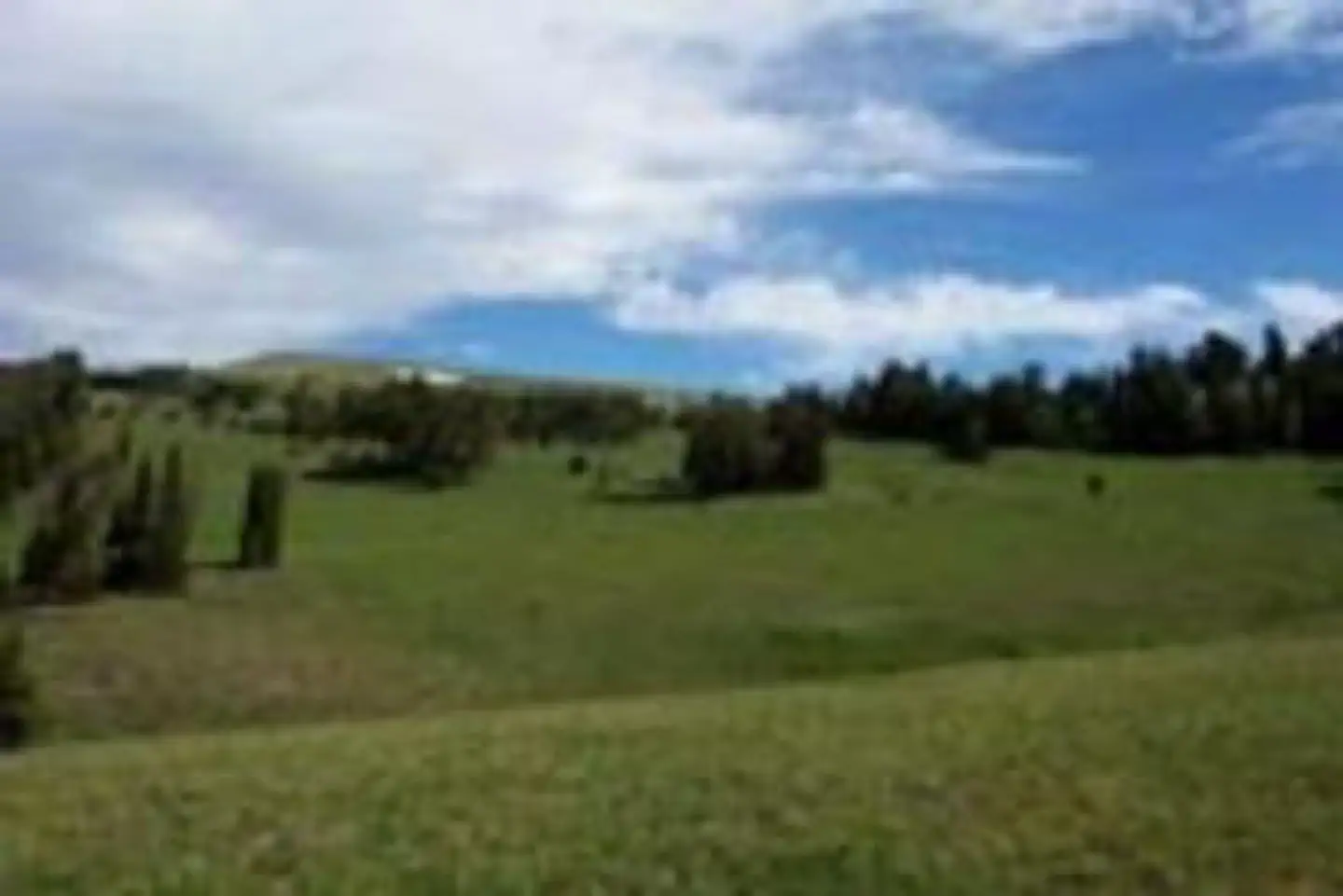 Windy Pass Cabin — WINDY PASS CABIN