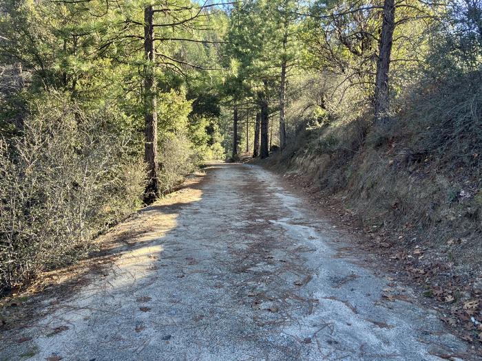 Crystal Creek Primitive Campground — Road from Crystal Creek Road leading to campground.