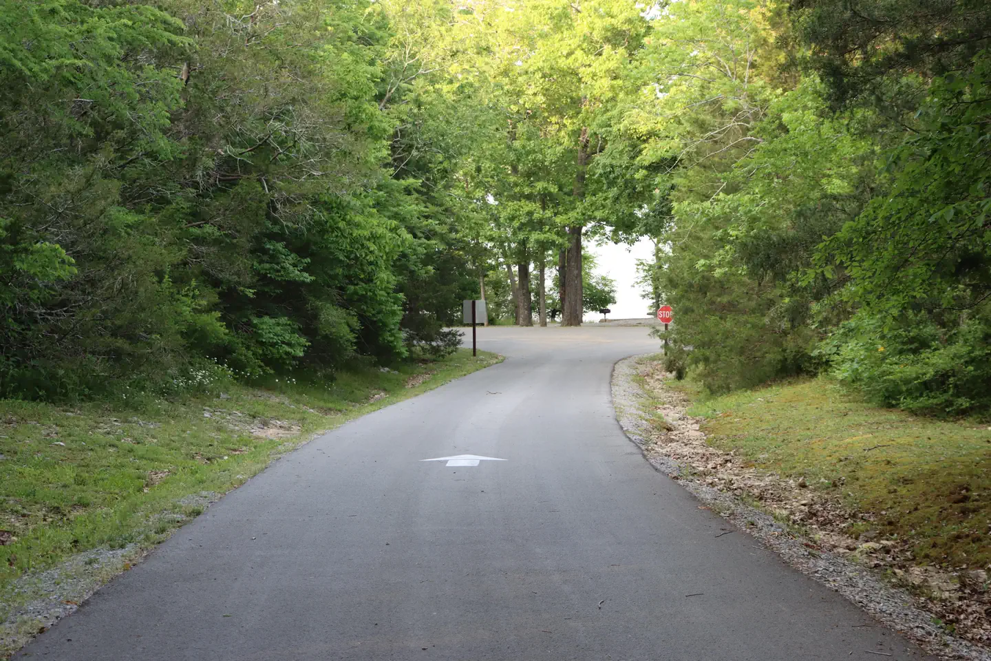 Anderson Road Campground — Anderson Road Campground Exit Road