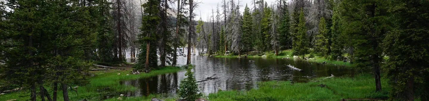 Trial Lake Campground