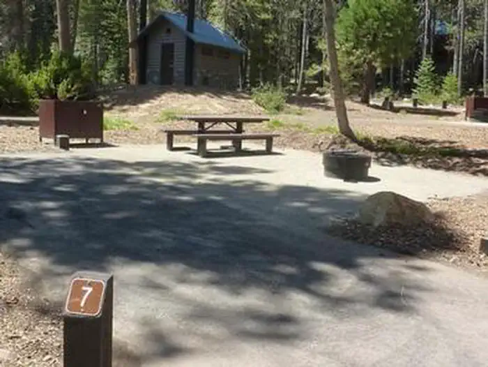 College — COLLEGE site 7