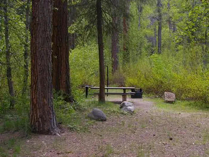 Dog Creek Campground — DOG CREEK (ID)
