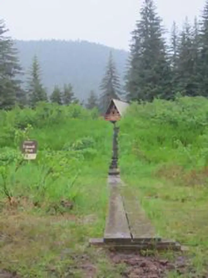 Coghill Lake Cabin β COGHILL LAKE CABIN7