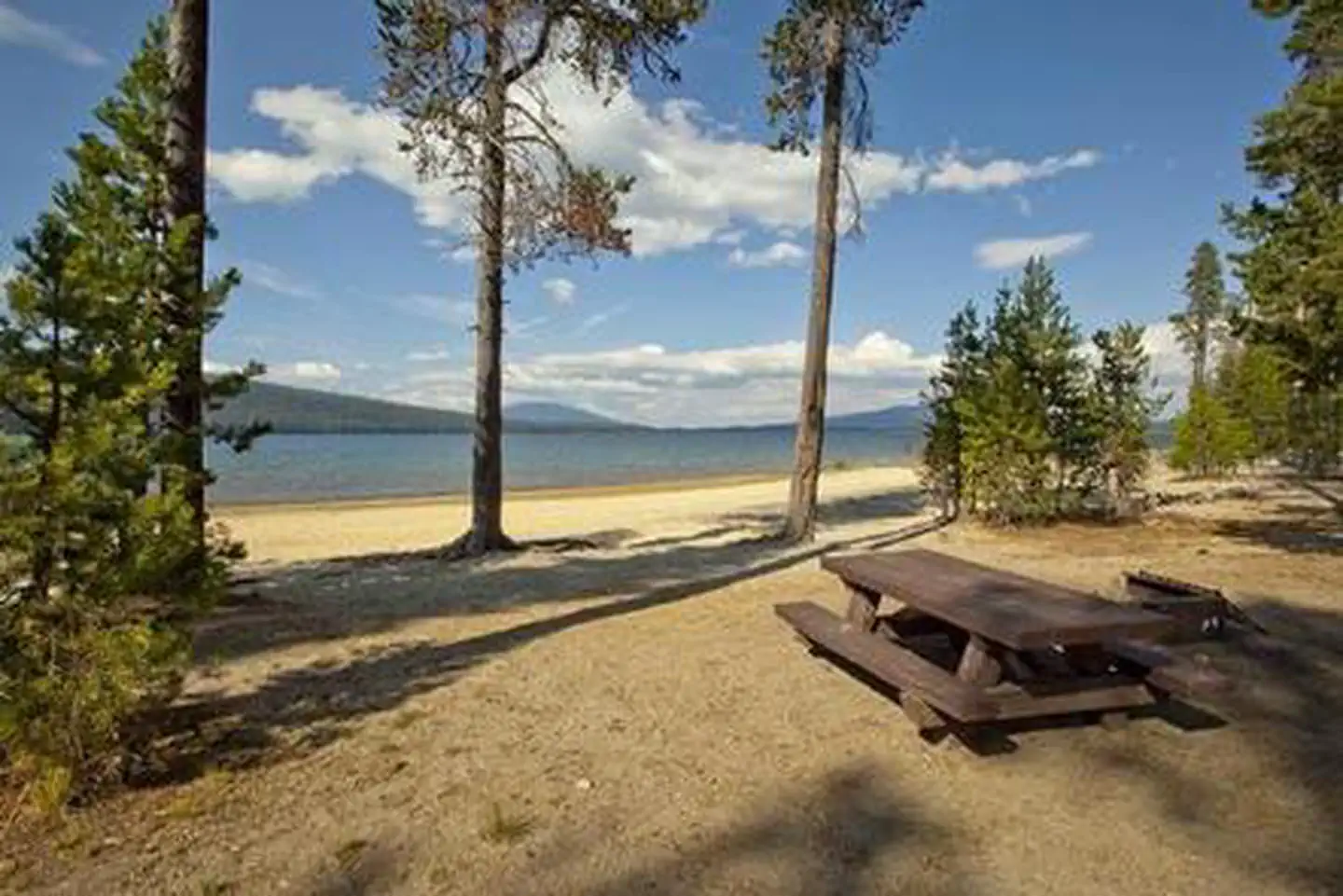 Contorta Flat Campground — Contorta Flat Campground