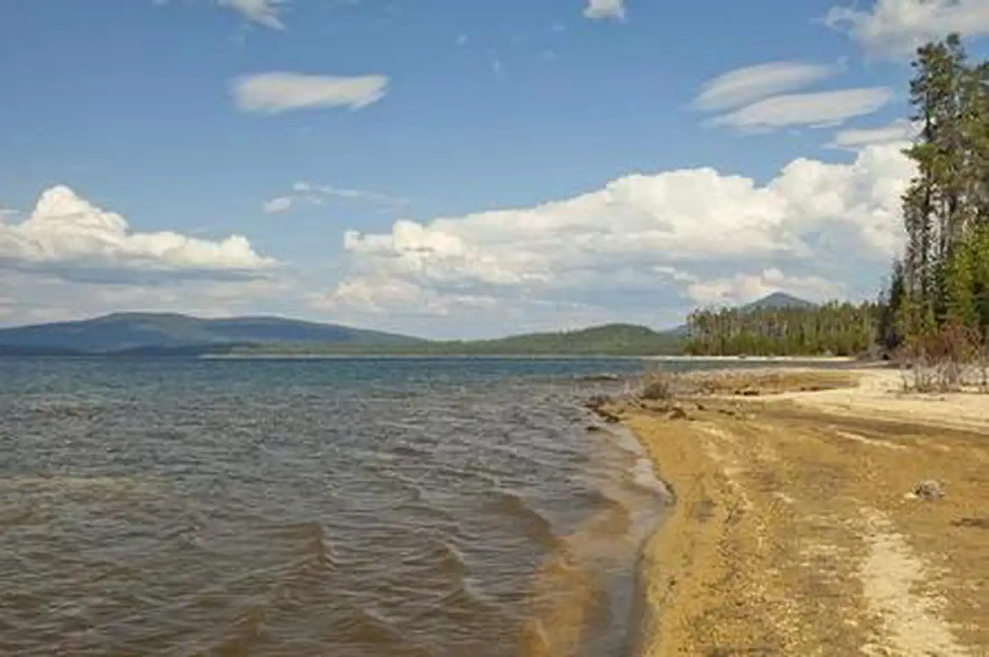 Contorta Flat Campground — Contorta Flat Campground