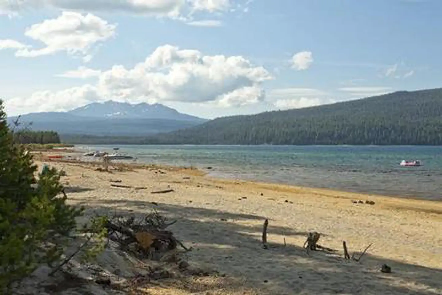 Contorta Flat Campground — Contorta Flat Campground