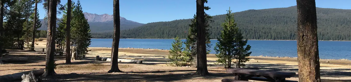 Contorta Flat Campground
