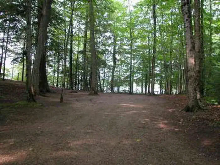 Pete’s Lake Campground — Pete's Lake Campground Site