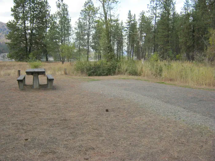 Kettle Falls Campground — Kettle Falls Campground with trees and bushes in the background.