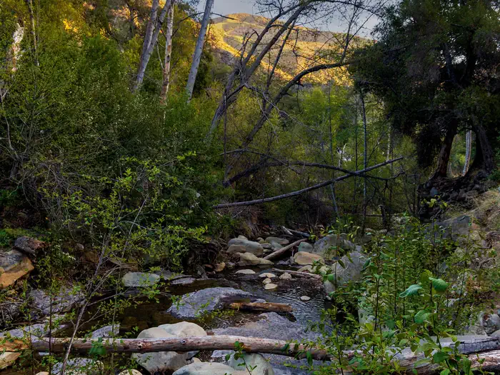 Wheeler Gorge — WHEELER GORGE RIVER