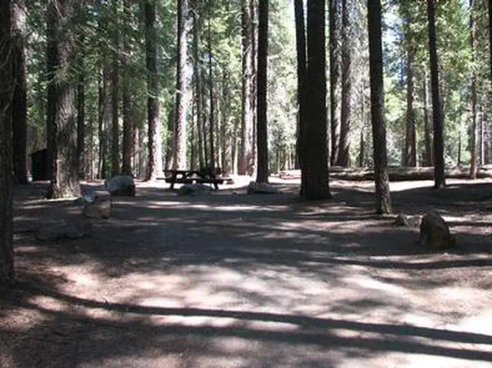 Wolf Creek Campground — WENCH CREEK