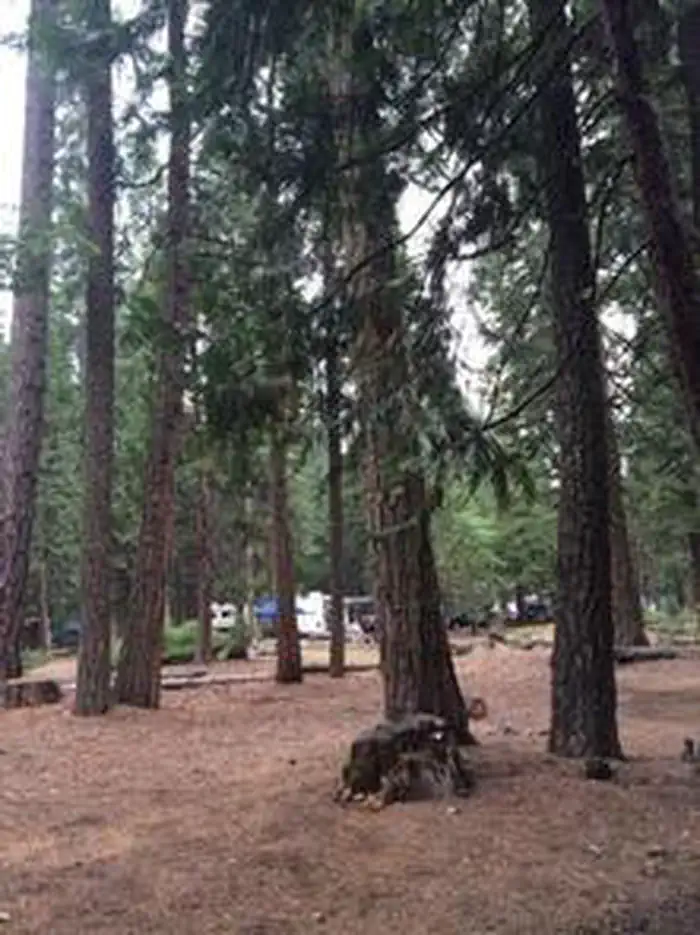 Wolf Creek Campground — WENCH CREEK