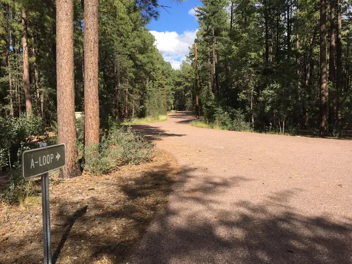 Ponderosa (az) — Ponderosa