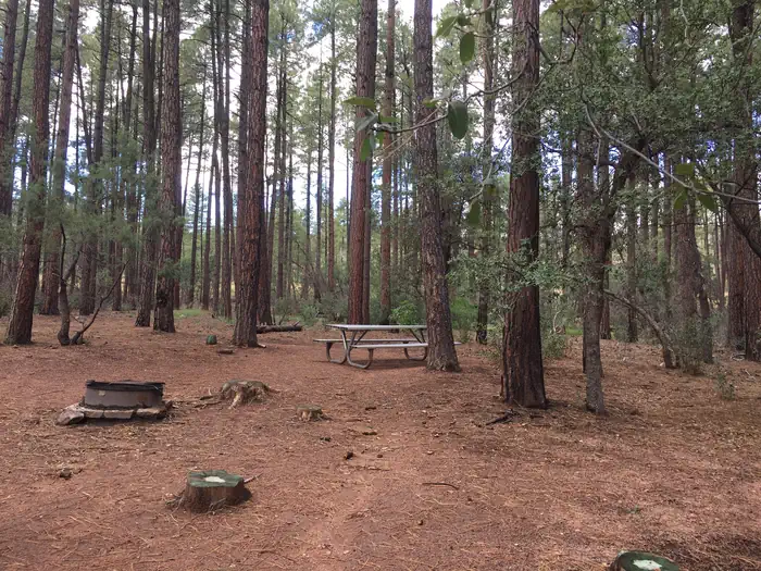 Ponderosa (az) — Ponderosa CG